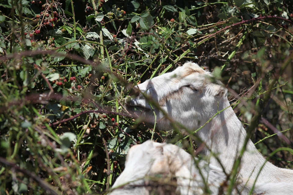 IMG 0016 (2)